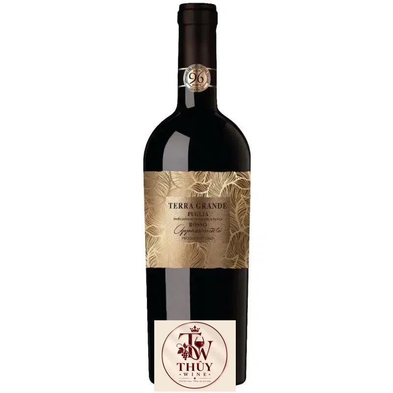 VANG Ý TERRA GRANDE PUGLIA ROSSO APPASSIMENTO