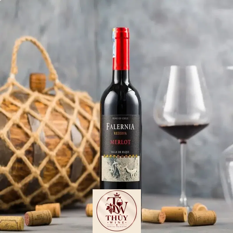 Rượu Vang Chile FALERNIA RESERVA MERLOT