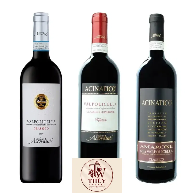 Mua ruou vang acinatico amarone della valpolicella giá rẻ tại Hà Nội