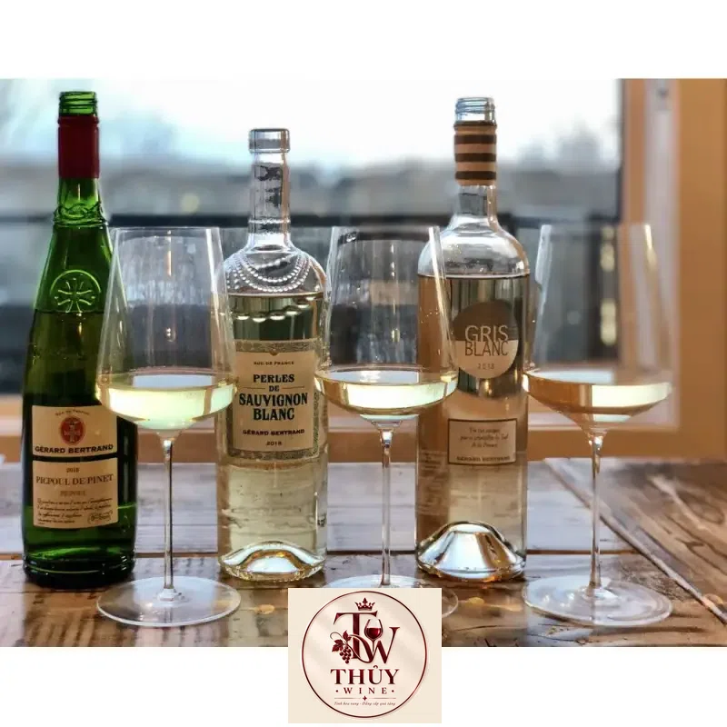 vang phap terroir picpoul de pinet gerard bertrand mua ở đâu giá rẻ nhất
