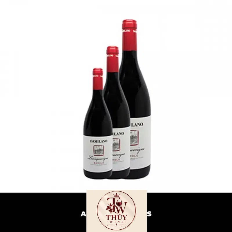 Rượu vang Ý Damilano Barolo Lecinquevigne