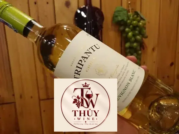 Rượu Vang Chile Tripantu Sauvignon Blanc - Ruouvangngoai.vn