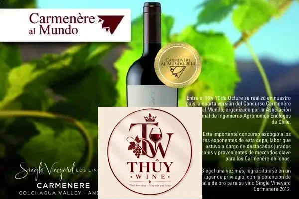 Rượu Vang Chile SIEGEL SINGLE VINYARD CARMENERE