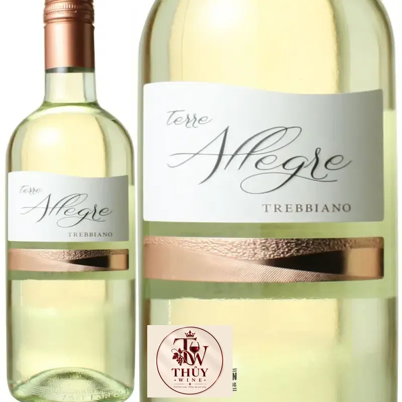 Địa chỉ mua vang y terre allegre trebbiano giá rẻ nhất