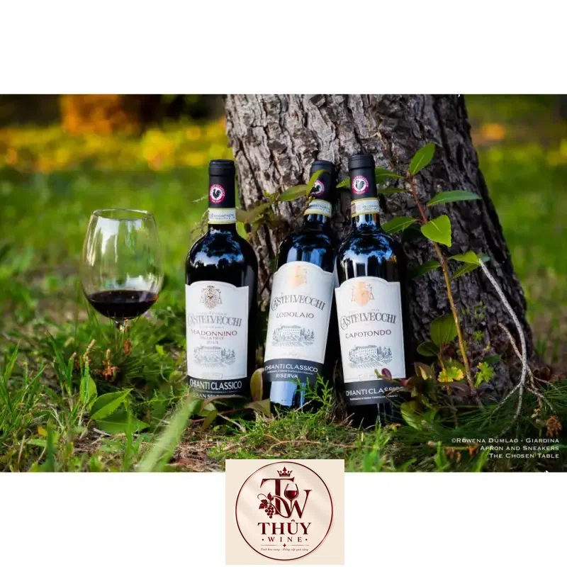 Địa chỉ mua ruou vang castelvecchi gran selezione chianti classico madonnino giá rẻ nhất