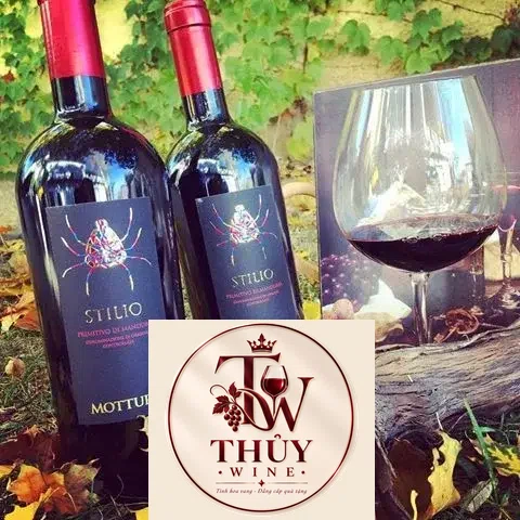 Vang Ý STILIO MOTTURA PRIMITIVO DI MANDURIA