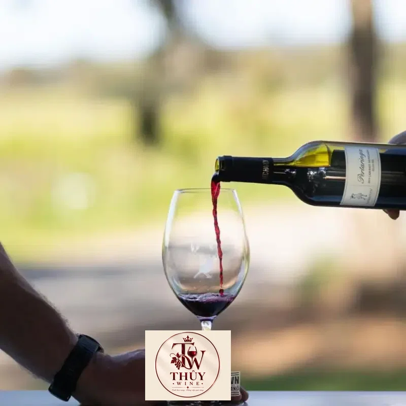 ruou vang pertaringa understudy cabernet sauvignon chiet khau cao mua ở đâu giá rẻ nhất