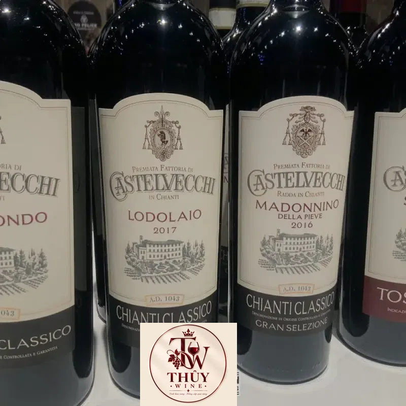 Mua ruou vang castelvecchi gran selezione chianti classico madonnino ở đâu giá rẻ nhất