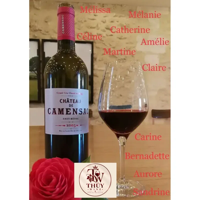 Địa chỉ bán ruou vang phap chateau de camensac haut medoc grand cru classe giá rẻ tại Hà Nội