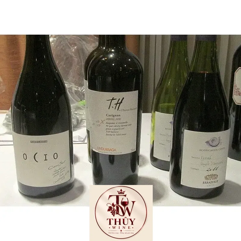 Vang Chile UNDURRAGA TH SYRAH