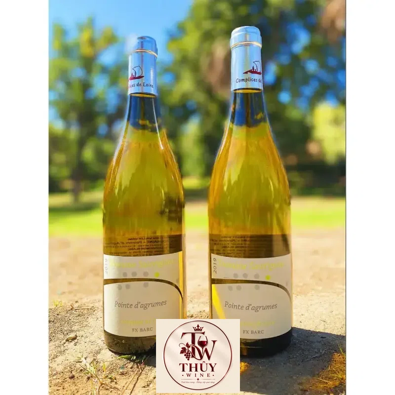Địa chỉ bán vang phap touraine sauvignon pointe d agrumes complices de loire fx barc giá rẻ nhất