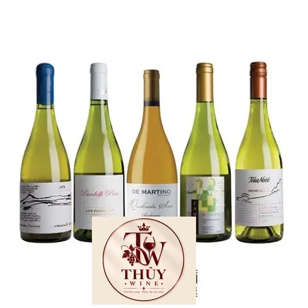 Vang Chile TARA Atacama Chardonnay