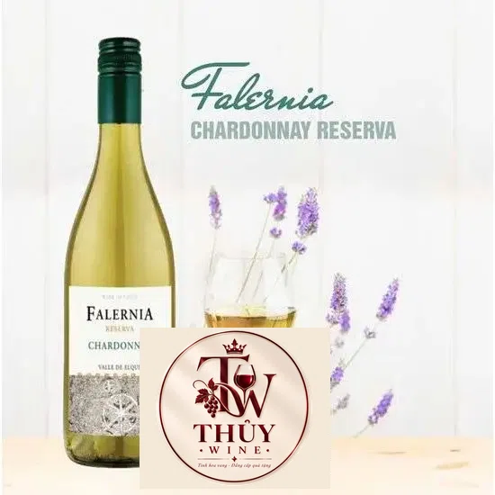 Rượu Vang Chile FALERNIA RESERVA CHARDONNAY