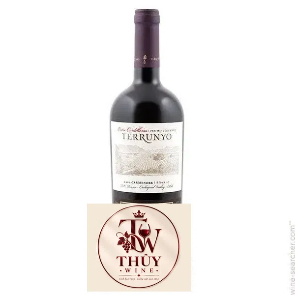Vang Chile Terrunyo Carmenere Block 27 Concha Y Toro