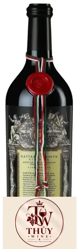 Vang Ý Salvano Barolo Riserva Vinorum