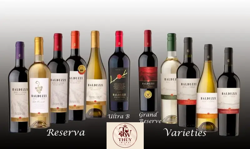 Rượu Vang Chile BALDUZZI ULTRA B