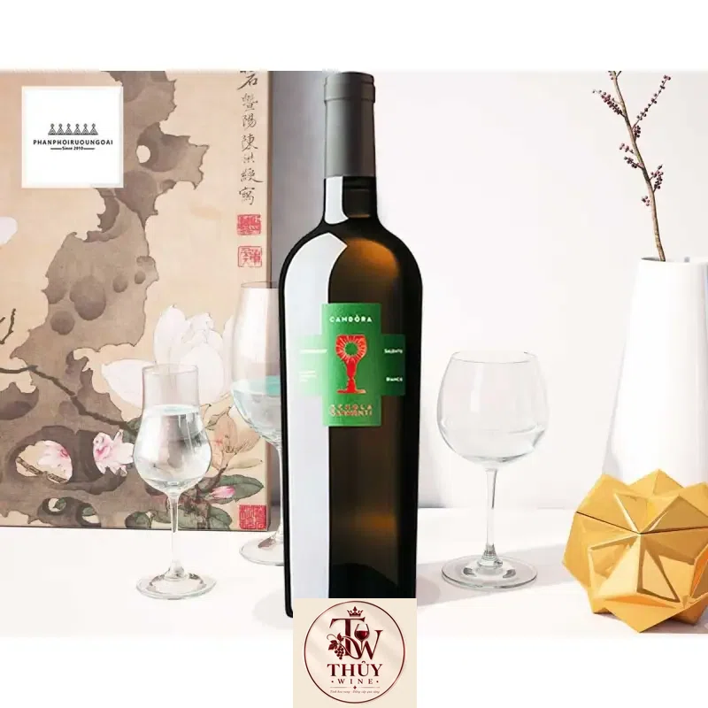Rượu Vang Ý Chén thánh SCHOLA SARMENTI CANDORA CHARDONNAY
