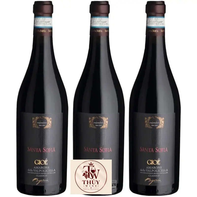 Địa chỉ bán sofia gioe amarone classico giá rẻ tại Sài Gòn