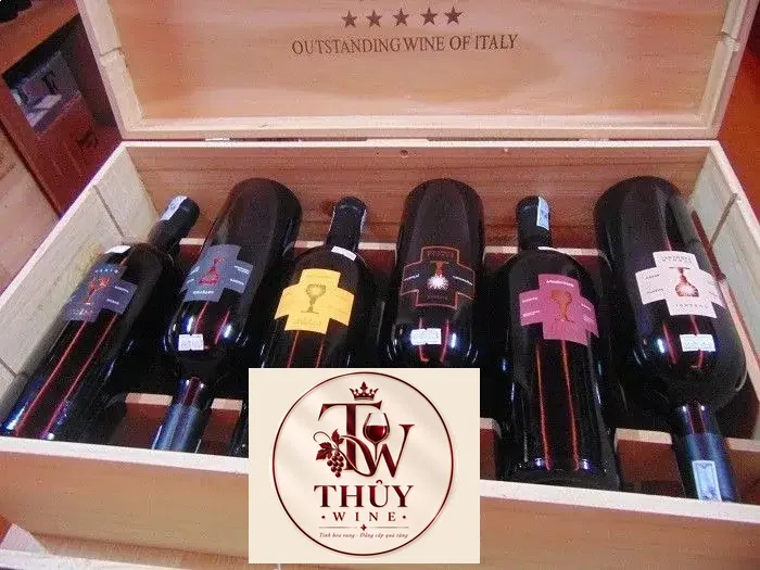 Vang Ý Schola Sarmenti Armentino Rosso Salento