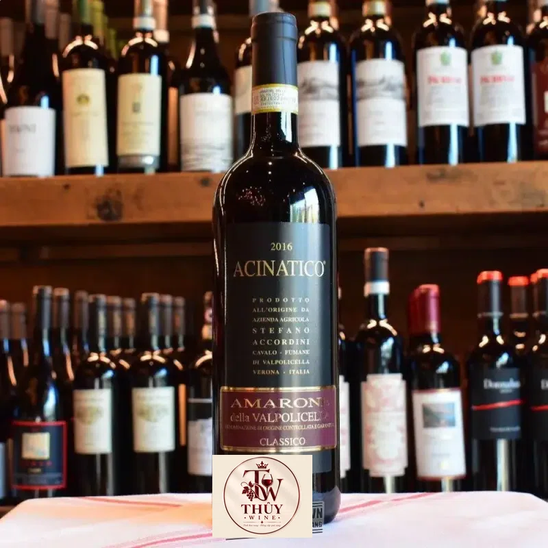 Mua ruou vang acinatico amarone della valpolicella giá rẻ tại Sài Gòn