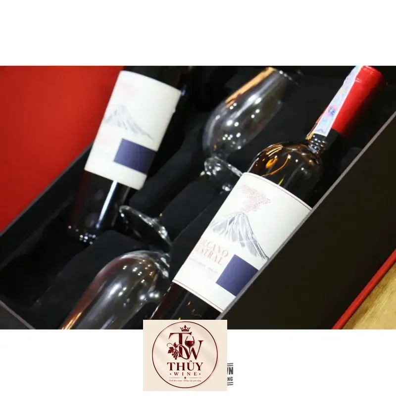 Địa chỉ bán ruou vang chile volcano austral cabernet sauvignon merlot gia re giá rẻ tại Sài Gòn