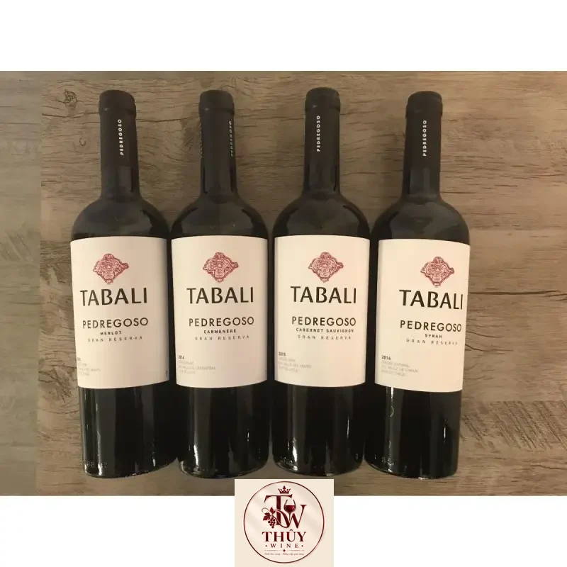 Rượu Vang Chile TABALI PEDREGOSO SYRAH