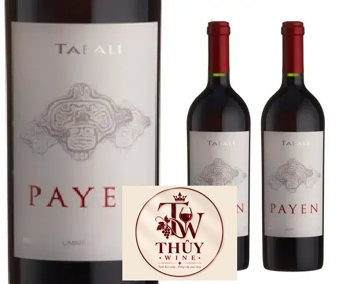 Vang Chile TABALI PAYEN