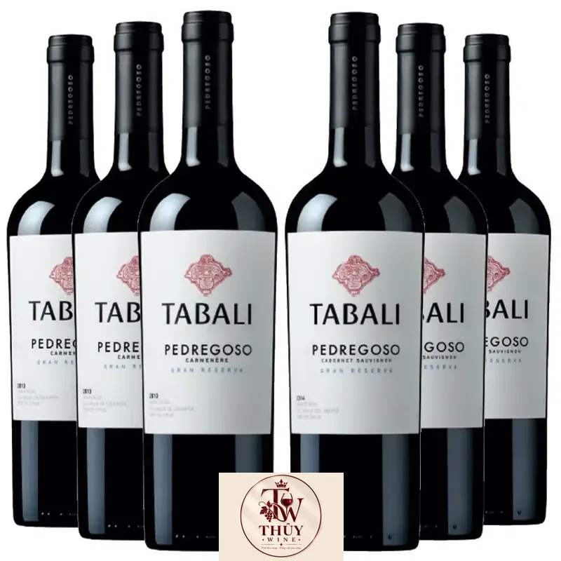 Rượu Vang Chile TABALI PEDREGOSO SYRAH