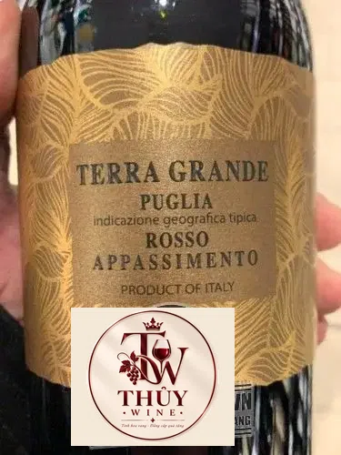 VANG Ý TERRA GRANDE PUGLIA ROSSO APPASSIMENTO