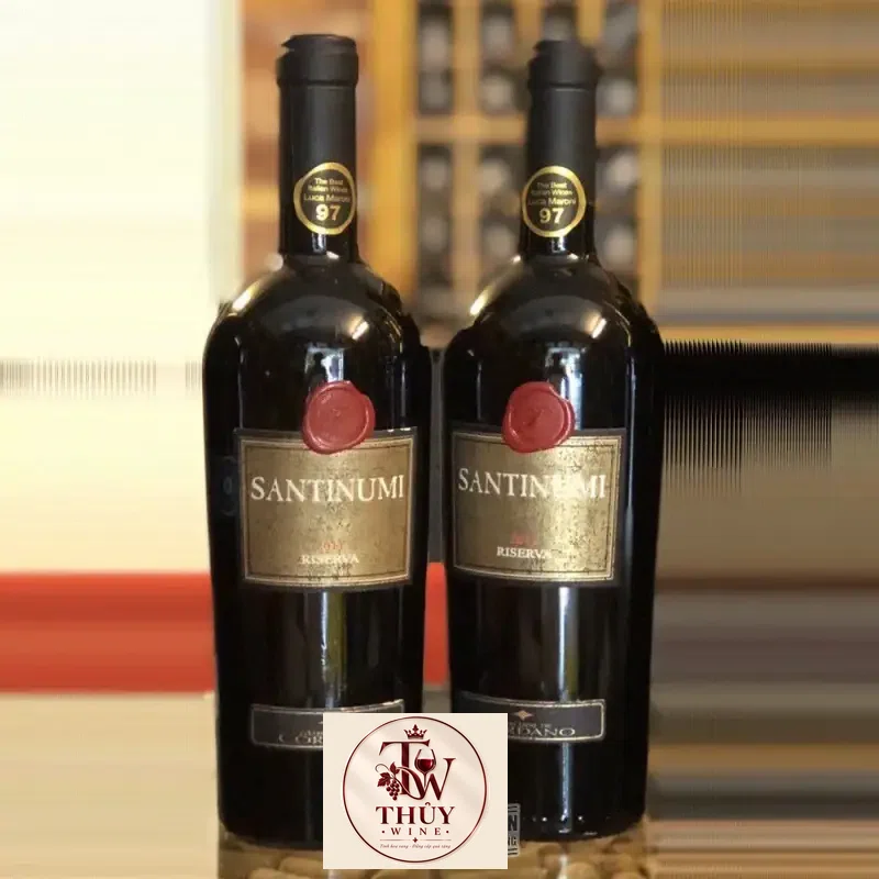 Vang Ý Santinumi Reserva Montepulciano Abruzzo 98 đểm