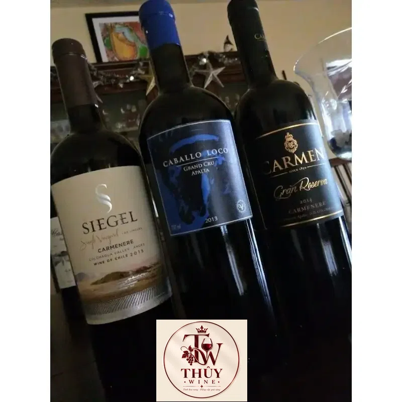 Rượu Vang Chile SIEGEL SINGLE VINYARD CARMENERE