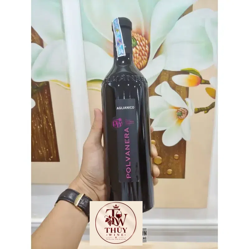 Địa chỉ bán ruou vang do chat aglianico polvanera puglia organic wine giá rẻ nhất