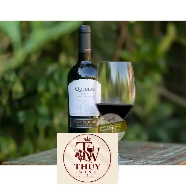 Vang Chile VENTISQUERO QUEULAT MERLOT