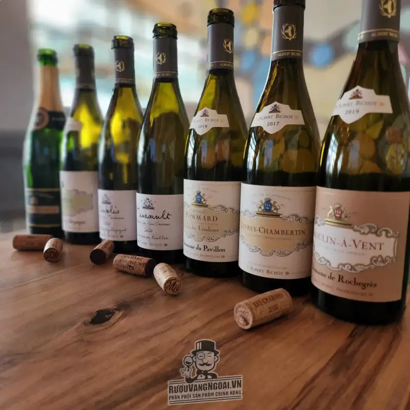 vang phap bourgogne gamay albert bichot mua ở đâu giá rẻ nhất