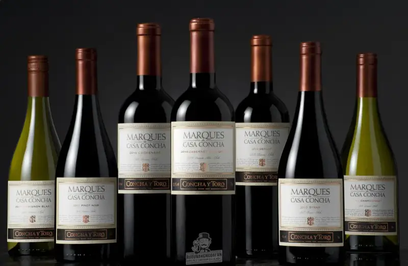 Vang chile Concha Y toro marques casa