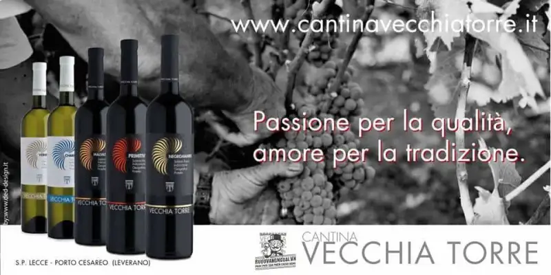 Vang Ý Vecchia Torre Negroamaro