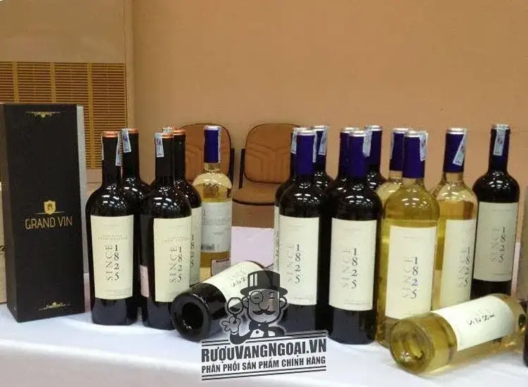Vang chile ngon giá rẻ