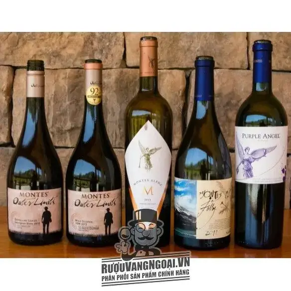 Top 5 chai rượu vang Chile cao cấp
