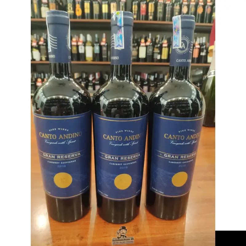 vang-chile-canto-andino-gran-reserva