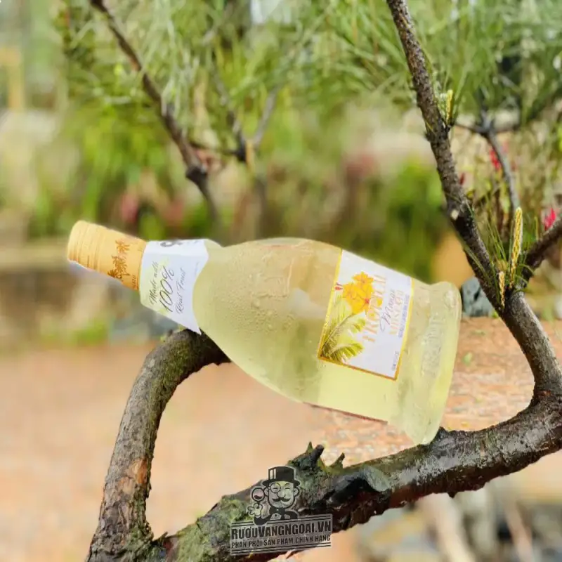 vang y tropical mango moscato piemonte giá bao nhiêu