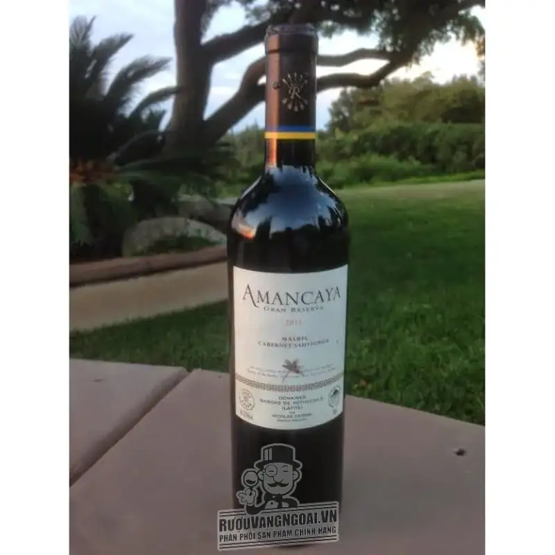 Vang ARGENTINA AMANCAYA RESERVA