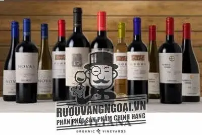 Hình ảnh có liên quan