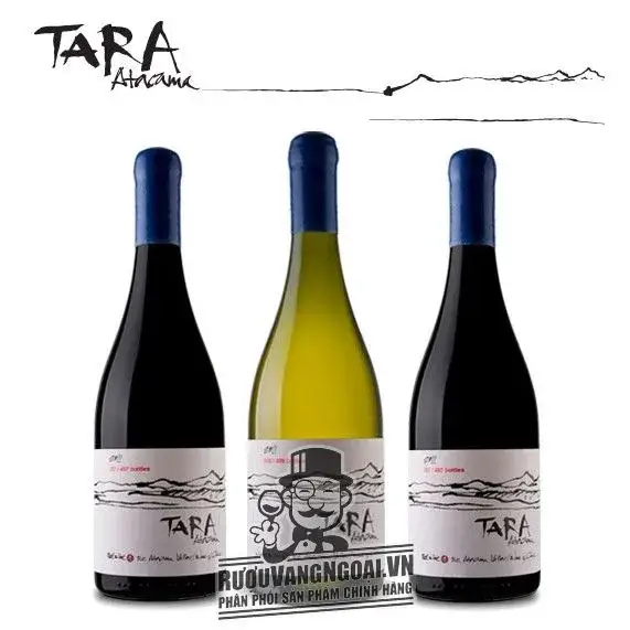 Vang Chile TARA Atacama Chardonnay