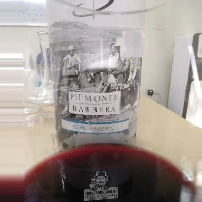 Vang Bịch Ý BOERI PIEMONTE BARBERA 3L