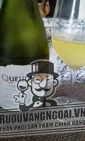 Vang Chile VENTISQUERO QUEULAT Gran Reserva Chardonnay
