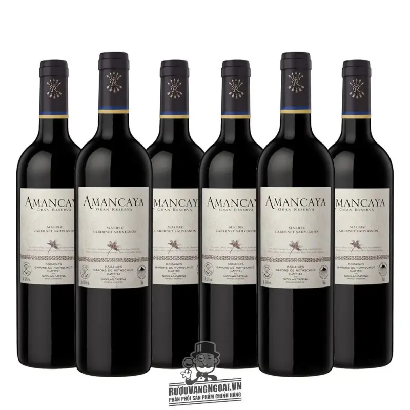 Vang ARGENTINA AMANCAYA RESERVA