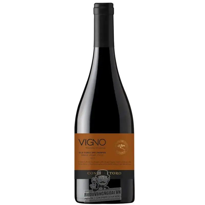 Vang Chile Vigno Old Vines Dry Farmed Concha Y Toro Carignan