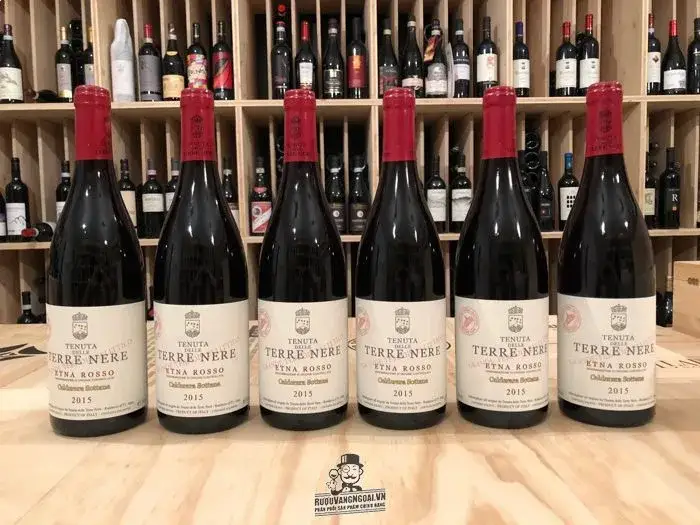 Vang Ý Tenuta delle Terre Nere Red
