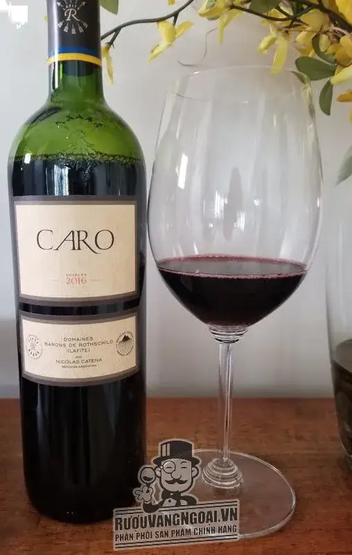 Vang ARGENTINA CARO