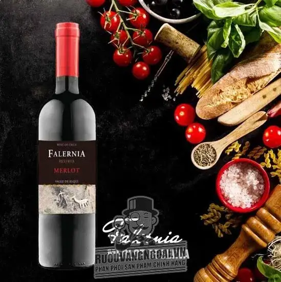 Rượu Vang Chile FALERNIA RESERVA MERLOT